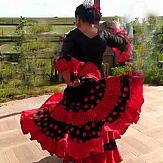 APSAD93 | Danse Flamenco