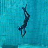 APSAD93 | Section PLONGEE